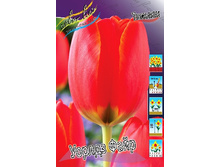 11,74���. ������� ������ ����(���������� ������ ������ ���������� �� 10 ��.).jpg