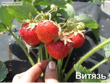 ��������� ������.jpg