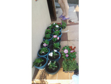 590c8b4cb35dc 20170430164952.jpg