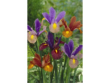 10,26���. ���� ����. ������ ������ ����(���������� ������ ������ ���������� �� 10 ��.).jpg