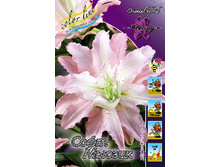 83,33���. ����� ���� ������(�������� ���� �� 3 ��., ����������� ����� 1��.).jpg