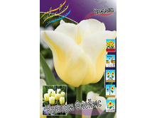 13,97���. ������� ������� ������(���������� ������ ������ ���������� �� 10 ��.)���16.jpg