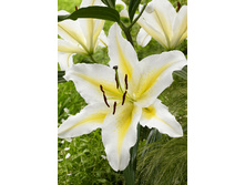 33���. ����� ��������(�������� ���� �� 5 ��., ����������� ����� 3��.).jpg