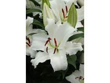 22,67���. ����� ������(�������� ���� �� 7 ��., ����������� ����� 3��.)���16.jpg