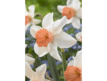 14,71���. ������� ������(���������� ������ ������ ���������� �� 10 ��.)���17.jpg