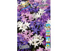 5,06���. ���������� �����(���������� ������ ������ ���������� �� 10 ��.)���16.jpg