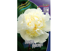 223,4���. ���� ����� ������(���������� ������ ������ ���������� �� 1 ��.).jpg