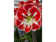 240,7���. ��������� �����(���������� ������ ������ ���������� �� 1 ��.).jpg