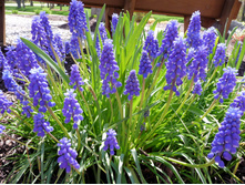 �������.