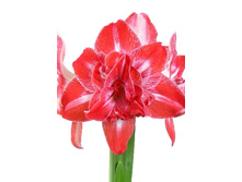 300,1���. ��������� ����� ��� �������(���������� ������ ������ ���������� �� 1 ��.)���17.jpg