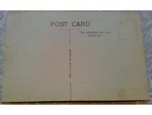 ����67 (1).jpg