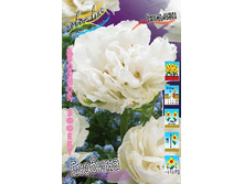 12,48���. ������� �������(���������� ������ ������ ���������� �� 10 ��.)���16.jpg