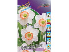 24,63���. ������� ������� ����(�������� ���� �� 7 ��., ����������� ����� 3��.).jpg