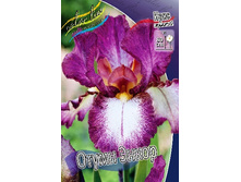 81,8���. ���� ���������� ����� �����(�������� ���� �� 2 ��., ����������� ����� 1��.).jpg