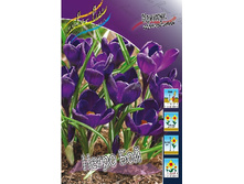 7,28���. ������ ����� ���(���������� ������ ������ ���������� �� 10 ��.).jpg