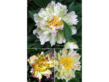 641,9���. ���� ���� �����(���������� ������ ������ ���������� �� 1 ��.).jpg