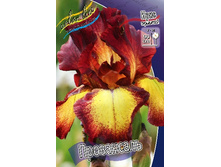 81,8���. ���� ���������� ����������(�������� ���� �� 2 ��., ����������� ����� 1��.).jpg