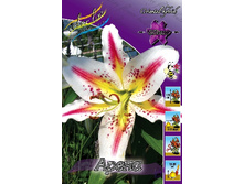 37,27���. ����� �����(�������� ���� �� 3 ��., ����������� ����� 1��.).jpg