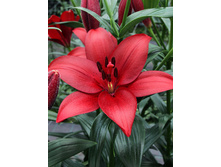 19,49���. ����� ������(���������� ������ ������ ���������� �� 7 ��.)���16.jpg