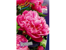 178,6���. ���� ������(���������� ������ ������ ���������� �� 1 ��.).jpg