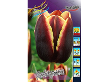 14,71���. ������� ��������(���������� ������ ������ ���������� �� 10 ��.).jpg