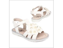 655 ���. - ����� �������� ������., (���), �. 27