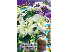 25,04���. ����� ������ �����(�������� ���� �� 7 ��., ����������� ����� 3��.).jpg