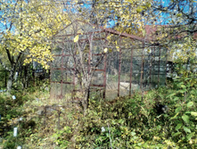 IMG 20161002 125546.jpg