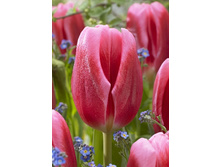 21,69���. ������� �����(�������� ���� �� 10 ��., ����������� ����� 5��.).jpg