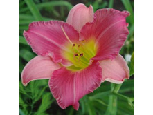 �������� ��������� ������ ���.jpg