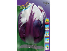 17,53���. ������� �����(�������� ���� �� 10 ��., ����������� ����� 5��.).jpg