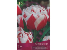 ������� �������� ����.jpg