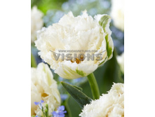 23,63���. ������� ����������(�������� ���� �� 10 ��., ����������� ����� 5��.)���17.jpg