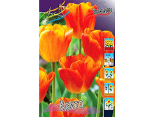 18,28���. ������� �����(���������� ������ ������ ���������� �� 5 ��.).jpg