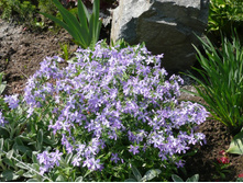 ����� �������������.