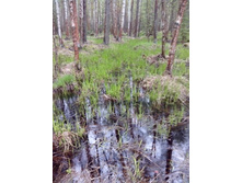 IMG 20170508 150943.jpg