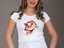 �������� ���� (�����) (���.3-301), 230 ���.