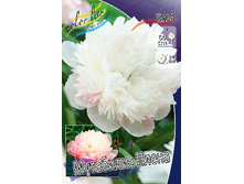 186���. ���� ��������� �����(���������� ������ ������ ���������� �� 1 ��.).jpg