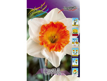 23,14���. ������� �����(�������� ���� �� 7 ��., ����������� ����� 3��.).jpg