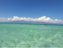 20160910 143439.jpg