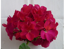 ���������� ����� ��������