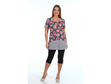 No224 ������