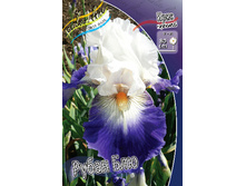 81,8���. ���� ���������� ����� ���(�������� ���� �� 2 ��., ����������� ����� 1��.)���16.jpg