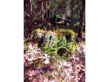 IMG 20170507 131846.jpg