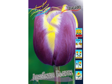 13,97���. ������� ������� �����(���������� ������ ������ ���������� �� 10 ��.)���16.jpg