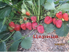 ��������� ������.jpg