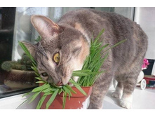 ���-�-�-�-����!!!