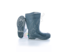 ������ ���.jpg