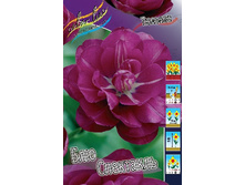 12,48���. ������� ��� ���������(���������� ������ ������ ���������� �� 10 ��.).jpg