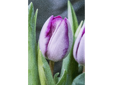 13,97���. ������� �������(���������� ������ ������ ���������� �� 10 ��.)���17.jpg